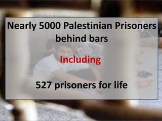 Nearly 5000 Palestinian Prisoners
          behind bars
           Including

      527 prisoners for life
 