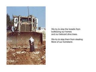 We try to stop the Israelis from
bulldozing our homes
and our beloved olive trees.

We try to stop them from stealing
More of our homeland.
 