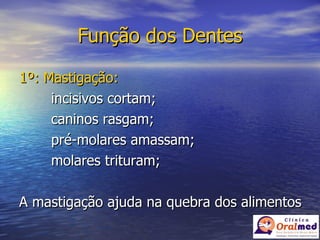 Função dos Dentes 1º: Mastigação: incisivos cortam; caninos rasgam; pré-molares amassam; molares trituram; A mastigação ajuda na quebra dos alimentos 