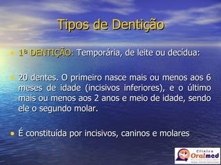 Tipos de Dentição 1ª DENTIÇÃO:  Temporária, de leite ou decídua: 20 dentes. O primeiro nasce mais ou menos aos 6 meses de idade (incisivos inferiores), e o último mais ou menos aos 2 anos e meio de idade, sendo ele o segundo molar. É constituída por incisivos, caninos e molares 