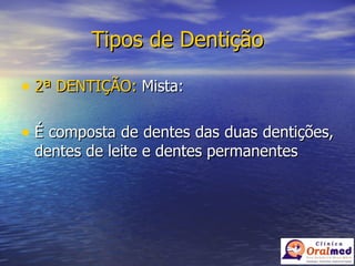 Tipos de Dentição 2ª DENTIÇÃO:  Mista: É composta de dentes das duas dentições, dentes de leite e dentes permanentes 