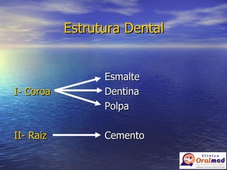 Estrutura Dental Esmalte I- Coroa Dentina Polpa II- Raiz Cemento 