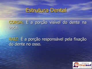 Estrutura Dental COROA:  É a porção visível do dente na boca. RAIZ:  É a porção responsável pela fixação do dente no osso. 