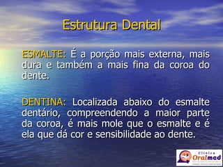 Estrutura Dental ESMALTE:  É a porção mais externa, mais dura e também a mais fina da coroa do dente. DENTINA:  Localizada abaixo do esmalte dentário, compreendendo a maior parte da coroa, é mais mole que o esmalte e é ela que dá cor e sensibilidade ao dente. 