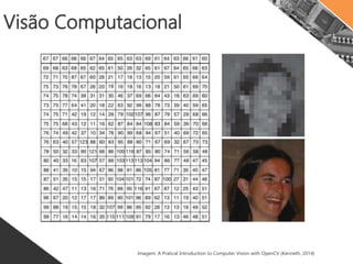 Visão Computacional
Imagem: A Pratical Introduction to Computer Vision with OpenCV (Kenneth, 2014)
 