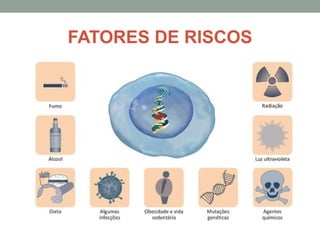 FATORES DE RISCOS
 