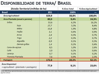 DISPONIBILIDADE DE TERRA/ BRASIL
Fontes: IBGE (Pesq. Agrícola Municipal), Conab (Levantamento Safra de Cana), Icone e Ibá, 2013. Nota: Pode existir sobreposição de área devido a existência de 2 safras para
algumas culturas.
 