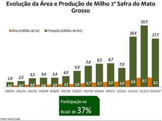 Evolução da Área e Produção de Milho 2ª Safra do Mato
Grosso
 