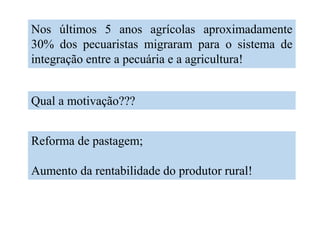 Reforma de pastagem;
Aumento da rentabilidade do produtor rural!
Nos últimos 5 anos agrícolas aproximadamente
30% dos pecuaristas migraram para o sistema de
integração entre a pecuária e a agricultura!
Qual a motivação???
 