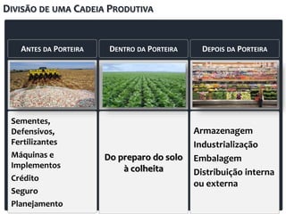 Armazenagem
Industrialização
Embalagem
Distribuição interna
ou externa
Do preparo do solo
à colheita
Sementes,
Defensivos,
Fertilizantes
Máquinas e
Implementos
Crédito
Seguro
Planejamento
DEPOIS DA PORTEIRA
DENTRO DA PORTEIRA
ANTES DA PORTEIRA
DIVISÃO DE UMA CADEIA PRODUTIVA
 
