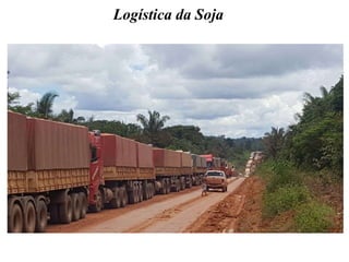 Logística da Soja
 