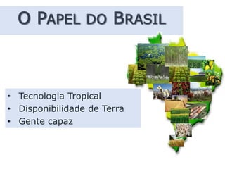• Tecnologia Tropical
• Disponibilidade de Terra
• Gente capaz
 