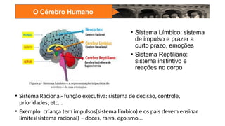 O Cérebro Humano
• Sistema Límbico: sistema
de impulso e prazer a
curto prazo, emoções
• Sistema Reptiliano:
sistema instintivo e
reações no corpo
• Sistema Racional- função executiva: sistema de decisão, controle,
prioridades, etc...
• Exemplo: criança tem impulsos(sistema límbico) e os pais devem ensinar
limites(sistema racional) – doces, raiva, egoismo...
 