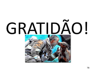 GRATIDÃO!
78

 