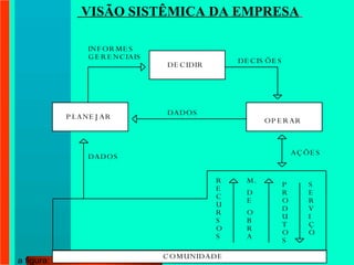 VISÃO SISTÊMICA DA EMPRESA   
