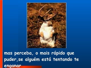 mas perceba, o mais rápido que puder,se alguém está tentando te enganar  