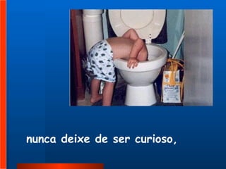 nunca deixe de ser curioso, 