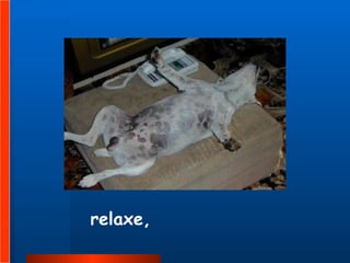 relaxe,   