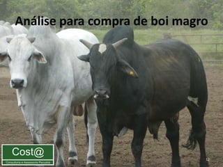 Análise para compra de boi magro




                               12
 