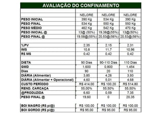 Palestra   beef point