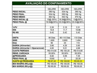 Palestra   beef point