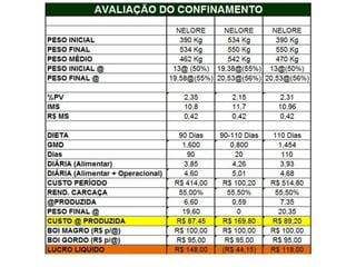 Palestra   beef point