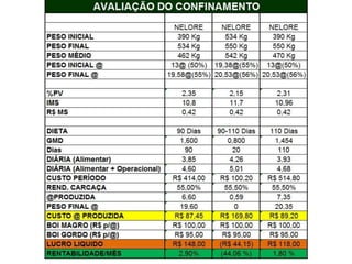 Palestra   beef point