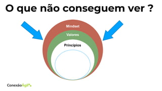 O que não conseguem ver ?
 
