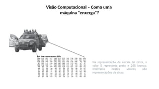 Visão Computacional – Como uma
máquina “enxerga”?
 