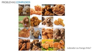 Labrador ou frango frito?
PROBLEMAS COMPLEXOS
 