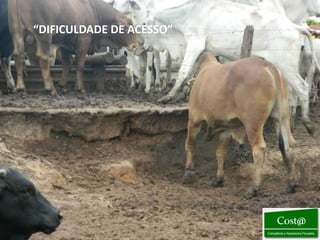 “DIFICULDADE DE ACESSO”
 