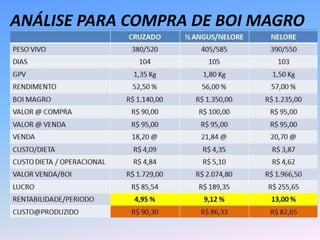 ANÁLISE PARA COMPRA DE BOI MAGRO
 