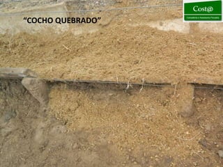 “COCHO QUEBRADO”
 