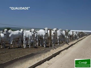 “QUALIDADE”
 