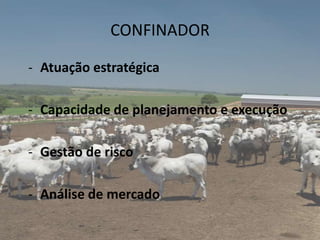 CONFINADOR

- Atuação estratégica

- Capacidade de planejamento e execução

- Gestão de risco

- Análise de mercado
 