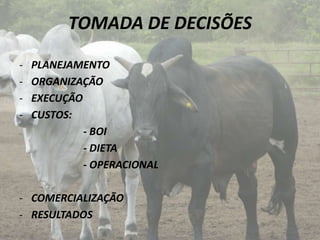 TOMADA DE DECISÕES

-   PLANEJAMENTO
-   ORGANIZAÇÃO
-   EXECUÇÃO
-   CUSTOS:
             - BOI
             - DIETA
             - OPERACIONAL

- COMERCIALIZAÇÃO
- RESULTADOS
 