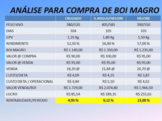 ANÁLISE PARA COMPRA DE BOI MAGRO
 