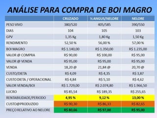 ANÁLISE PARA COMPRA DE BOI MAGRO
 