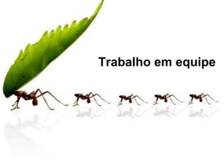 Trabalho em equipe
 