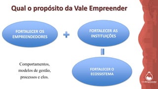 Qual o propósito da Vale Empreender
FORTALECER O
ECOSSISTEMA
FORTALECER OS
EMPREENDEDORES
FORTALECER AS
INSTITUIÇÕES
Comportamentos,
modelos de gestão,
processos e elos.
 