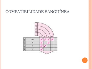 COMPATIBILIDADE SANGUÍNEA 