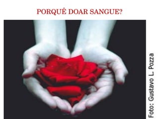 PORQUÊ DOAR SANGUE? 