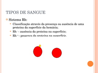 TIPOS DE SANGUE Sistema Rh: Classificação através da presença ou ausência de uma proteína da superfície da hemácia; Rh  -  - ausência da proteína na superfície; Rh  +  - presença da proteína na superfície. 