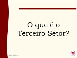 O que é o Terceiro Setor? 