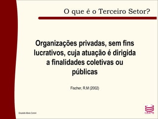 O que é o Terceiro Setor? Organizações privadas, sem fins lucrativos, cuja atuação é dirigida a finalidades coletivas ou públicas Fischer, R.M (2002) 