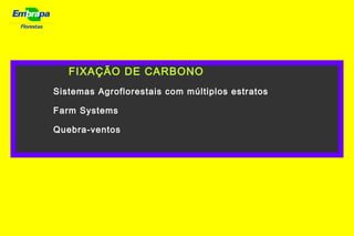 Florestas
FIXAÇÃO DE CARBONO
Sistemas Agroflorestais com múltiplos estratos
Farm Systems
Quebra-ventos
 