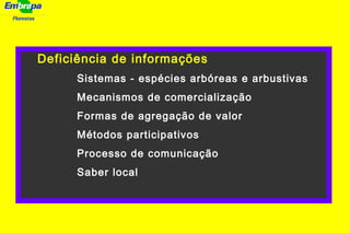Florestas
Deficiência de informações
Sistemas - espécies arbóreas e arbustivas
Mecanismos de comercialização
Formas de agregação de valor
Métodos participativos
Processo de comunicação
Saber local
 