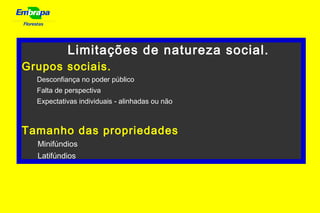 Florestas
Limitações de natureza social.
Grupos sociais.
Desconfiança no poder público
Falta de perspectiva
Expectativas individuais - alinhadas ou não
Tamanho das propriedades
Minifúndios
Latifúndios
 