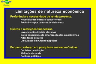 Florestas
Limitações de natureza econômica
Preferência e necessidade de renda presente.
Necessidades básicas concorrentes
Preferência por culturas de ciclo curto
Custos e restrições financeiras.
Investimentos iniciais elevados
Baixa capacidade de amortização dos empréstimos
Altas taxas de juros
Dificuldade em Crédito Especial
Pequeno esforço em pesquisas socioeconômicas
Decisões de adoção
Melhoria de renda
Políticas públicas
 