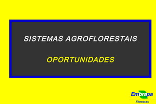 Florestas
SISTEMAS AGROFLORESTAIS
OPORTUNIDADES
 